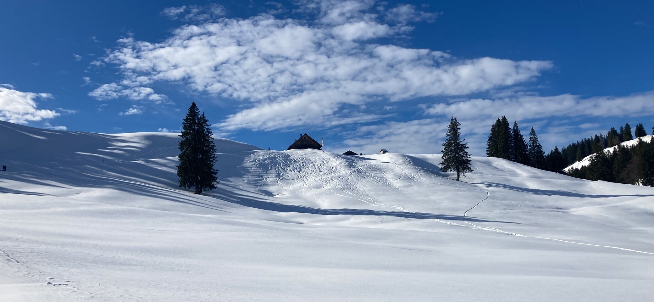 Sennalpe Mittelberg | © Carina Hommer