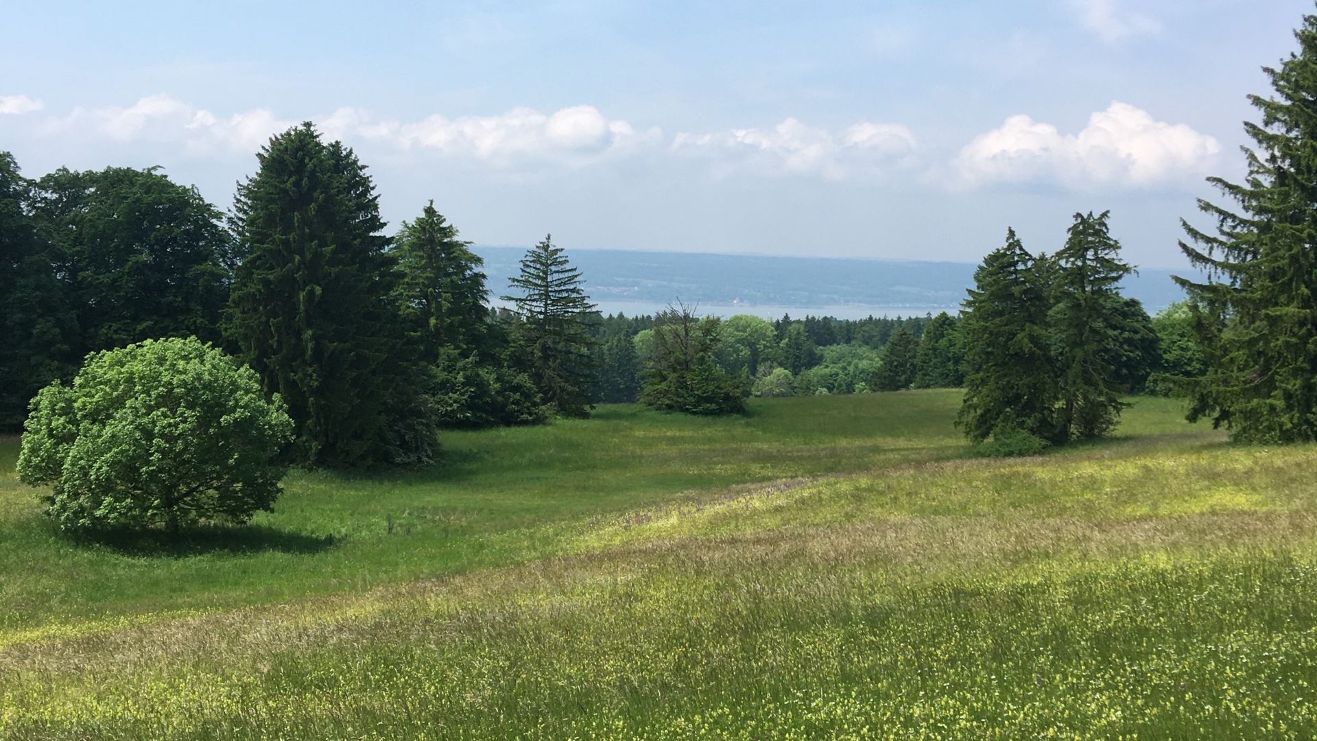 2022_Kathrin_Landschaft mit Aussicht | © Kathrin Müller